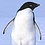 Adele_Fu